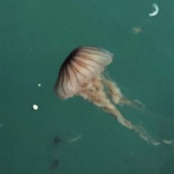 親父たちの釣行‼️