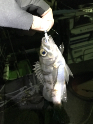 生口島ライトゲーム②