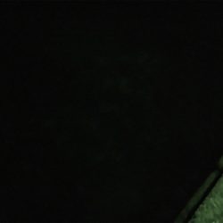 アジングの予定が