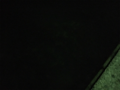 アジングの予定が