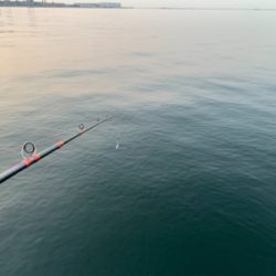 マイクロベイトよりも。