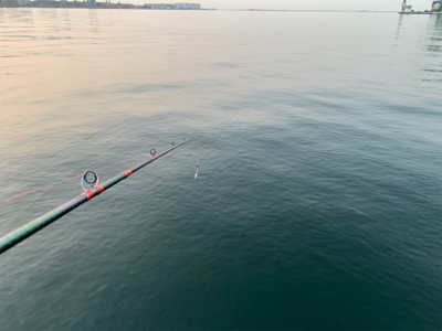 マイクロベイトよりも。