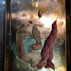 今年初ジギング