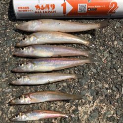 キスの投げ釣り