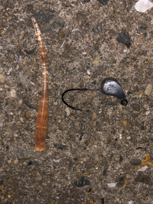 サバ祭り チョイとチーバス