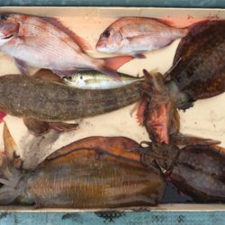 タイラバ エギング