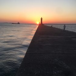 夕まずめからのナイトゲーム