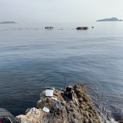 津久見市 地磯フカセチヌ