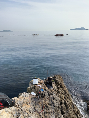 津久見市 地磯フカセチヌ