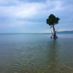 石垣 ライトゲーム！