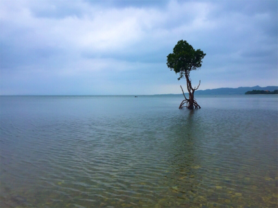 石垣 ライトゲーム！