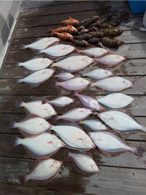 SFC プライベートボートで仙台湾五目釣り