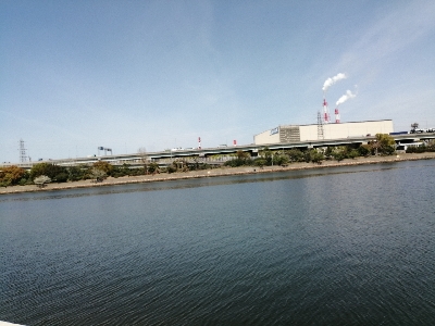 お昼はボラ〜夜はバチ抜け