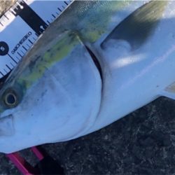 絶好の釣り日和だから…期待大❗️