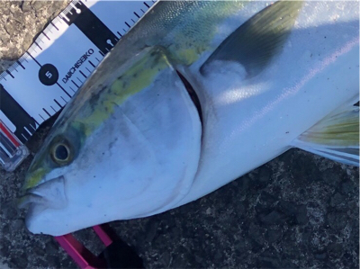 絶好の釣り日和だから…期待大❗️