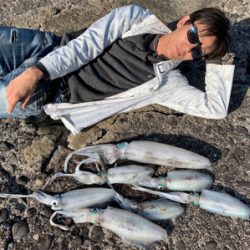 春イカを求めて