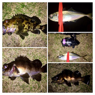 メバリンガー1835〜1920