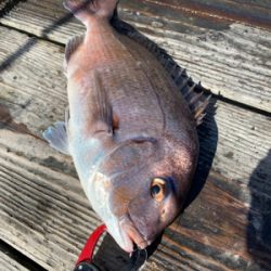 家島釣堀水宝さんにて