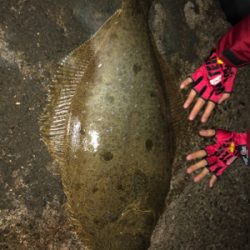 昨夜に引き続き！今夜は息子と共に(^｡^)