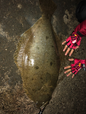 昨夜に引き続き！今夜は息子と共に(^｡^)