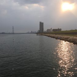 淀川ブリームゲーム 3連戦 2日目