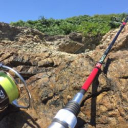 石垣ライトゲーム！！！