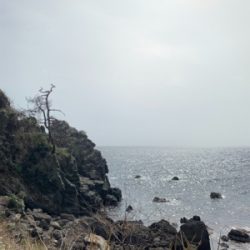 越前海岸フカセ釣り グレ