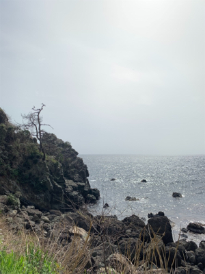 越前海岸フカセ釣り グレ