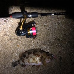 雨の力を借りて