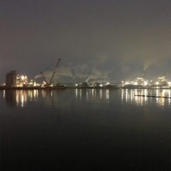 ガシラ祭り(^^)  メバルも