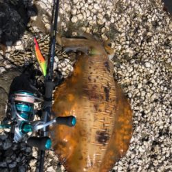 ヤバイくらいのんが来た(*_*)