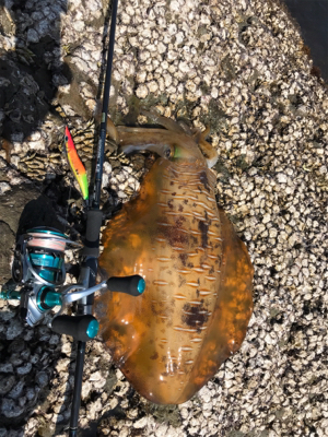 ヤバイくらいのんが来た(*_*)