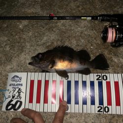 今シーズン一番