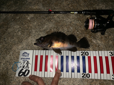 今シーズン一番