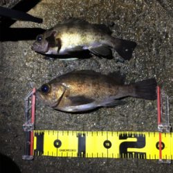 3人でナイトゲーム