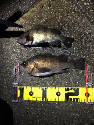 3人でナイトゲーム