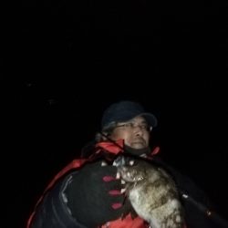 平成最後のメバリング