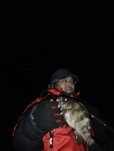 平成最後のメバリング