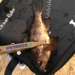 寒の戻り苦戦です(汗