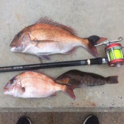 GW前半戦、雨の前の勝負