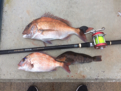 GW前半戦、雨の前の勝負