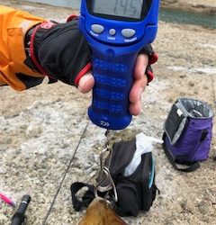 平成最後の春イカ❗️❗️❗️