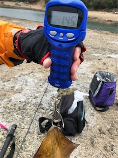 平成最後の春イカ❗️❗️❗️