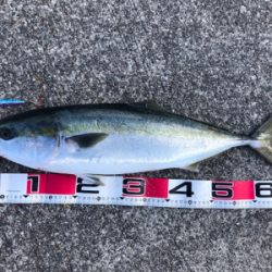 GW初日、タイミングよかった^ ^