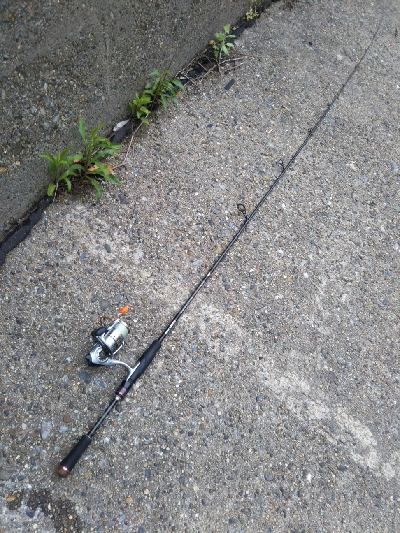 今日も釣れます!