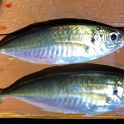 元号またぎライトゲーム