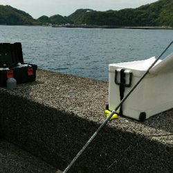 土佐市宇佐の中堤防にて（奥田釣具店さんの渡船利用）