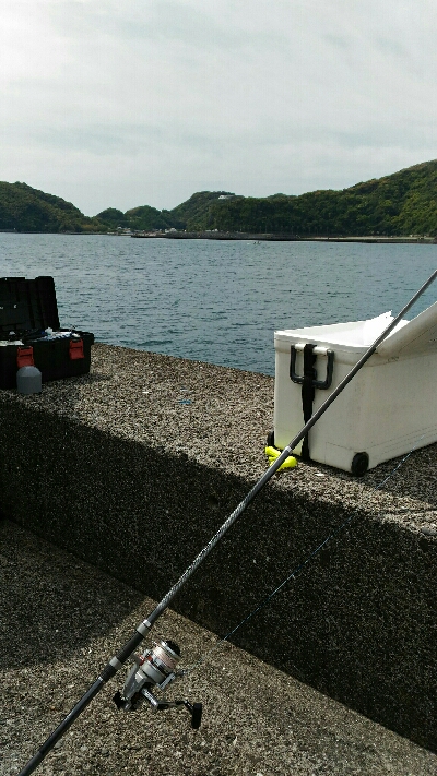 土佐市宇佐の中堤防にて（奥田釣具店さんの渡船利用）