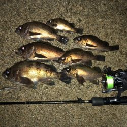 二見メバリング10