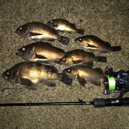 二見メバリング10